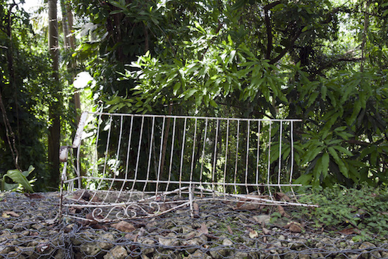 The View from (T)here