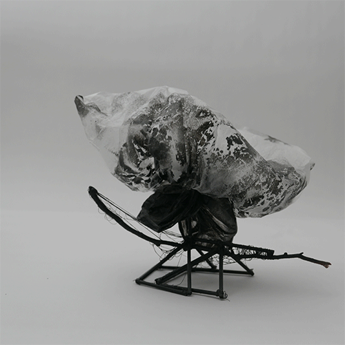 CloudSled (animation)